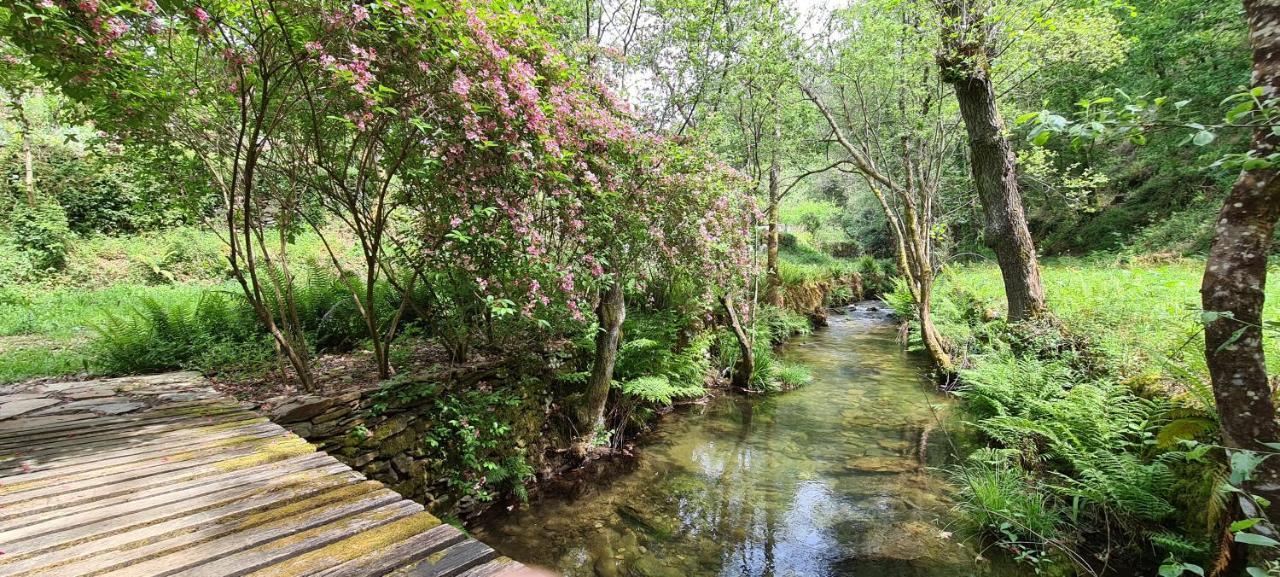 Moleiro Da Costa Má - Wellness&spa Gasthof Sever do Vouga